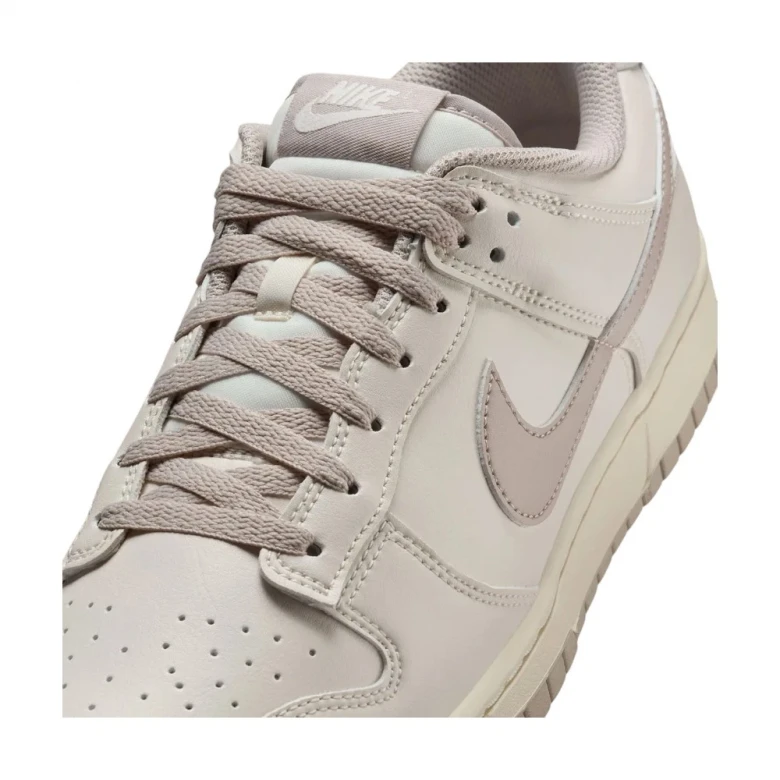 Dunk Low Retro Soft 5