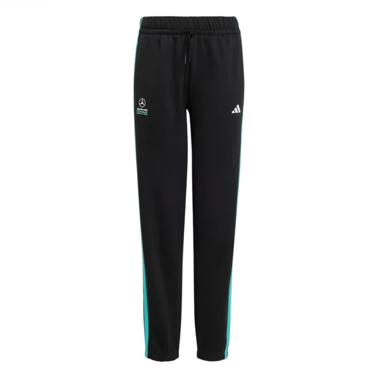 Mercedes - Amg Petronas Formula 1 Team Dna Pant