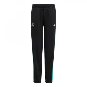 Mercedes - Amg Petronas Formula 1 Team Dna Pant