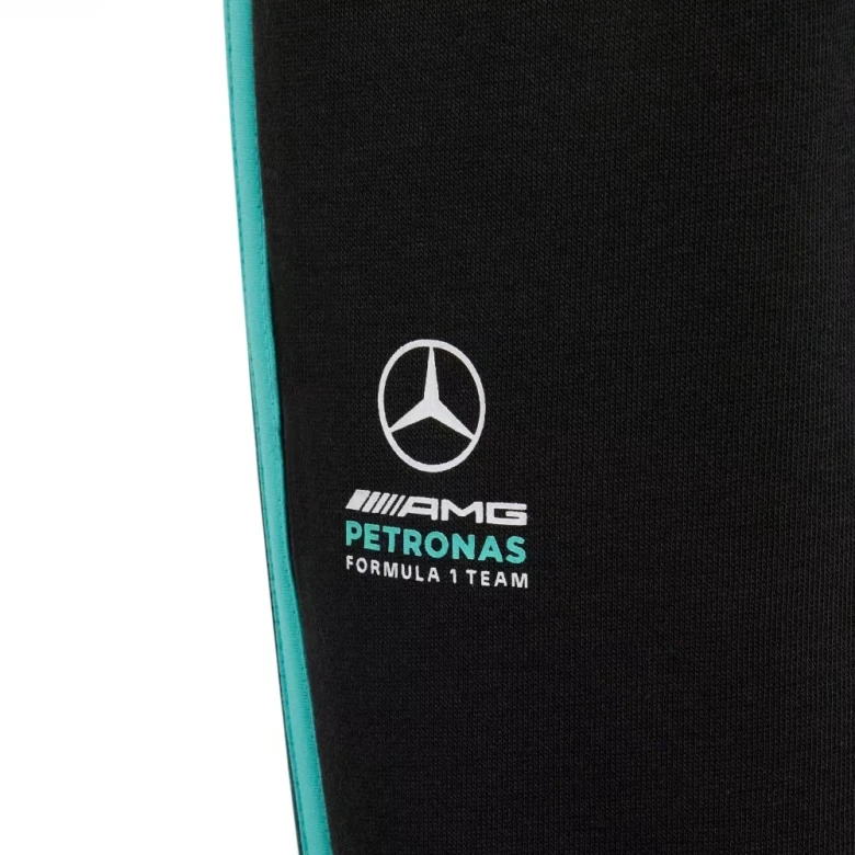 Mercedes - Amg Petronas Formula 1 Team Dna Pant 3