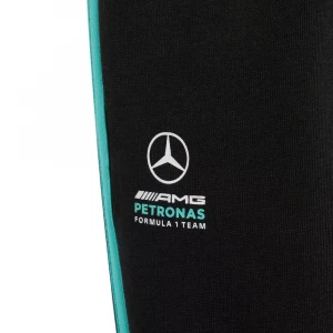Mercedes - Amg Petronas Formula 1 Team Dna Pant 3