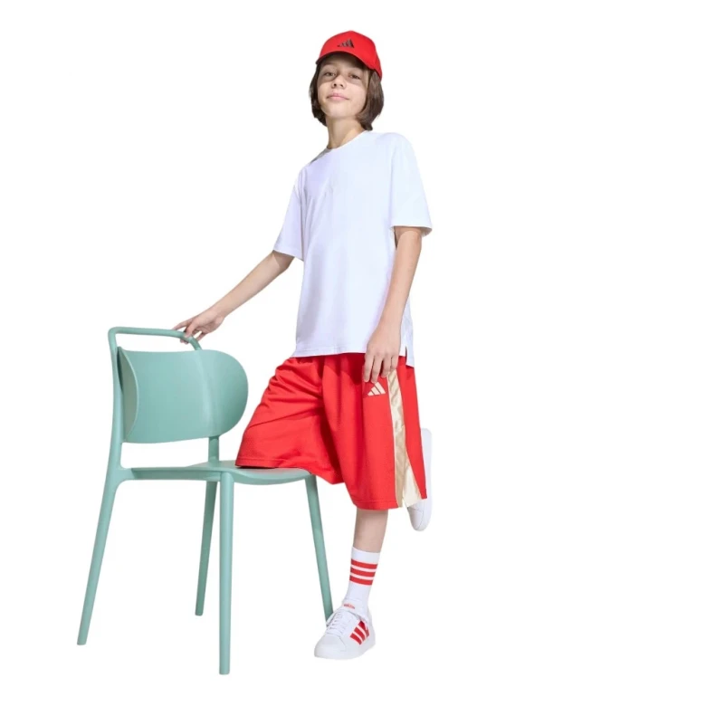 Stadium Mesh Short 2