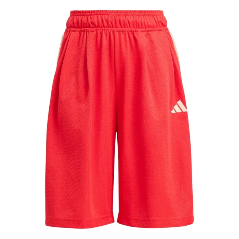 Stadium Mesh Short 4