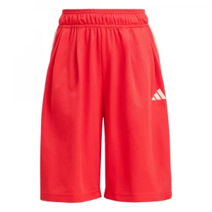 Stadium Mesh Short 4