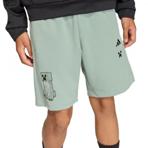 Minecraft Training Short 2