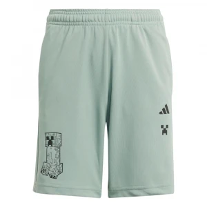 Minecraft Training Short 4