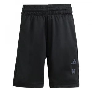 Minecraft Training Summer Set 7