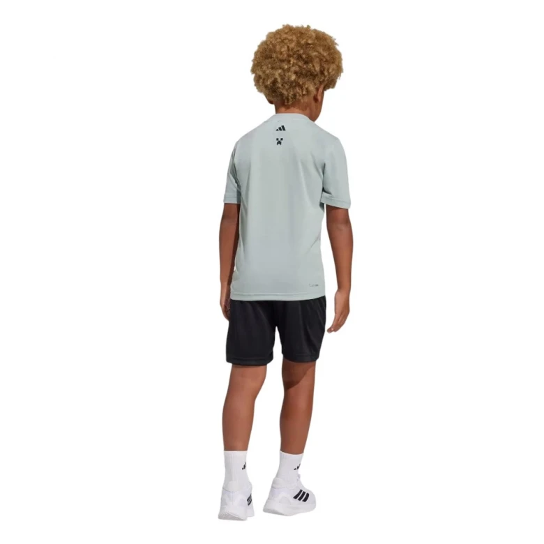 Minecraft Training Summer Set 1