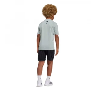 Minecraft Training Summer Set 1