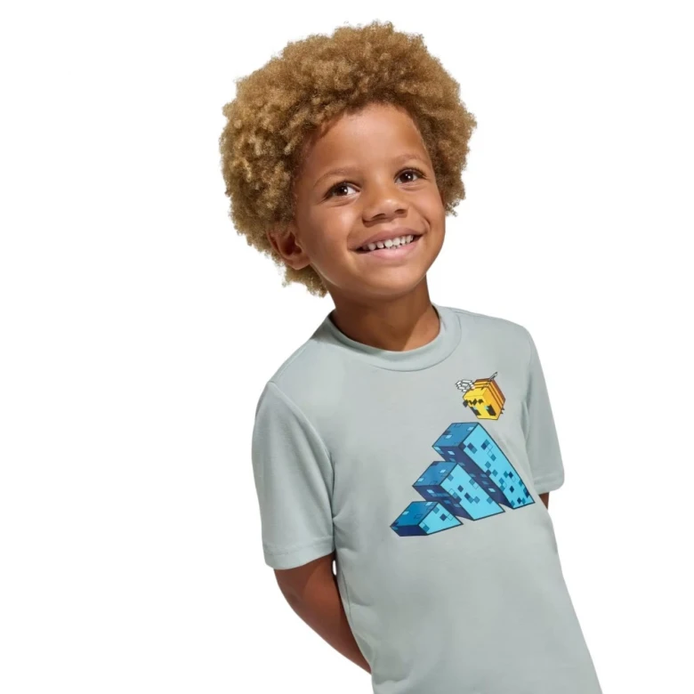 Minecraft Training Summer Set 3