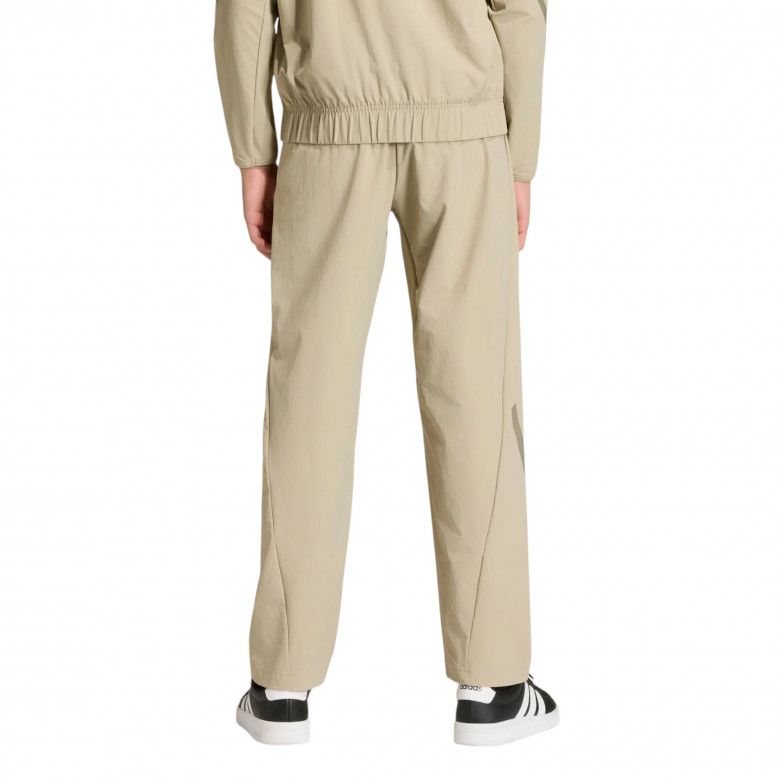 Z.N.E. Pants 1