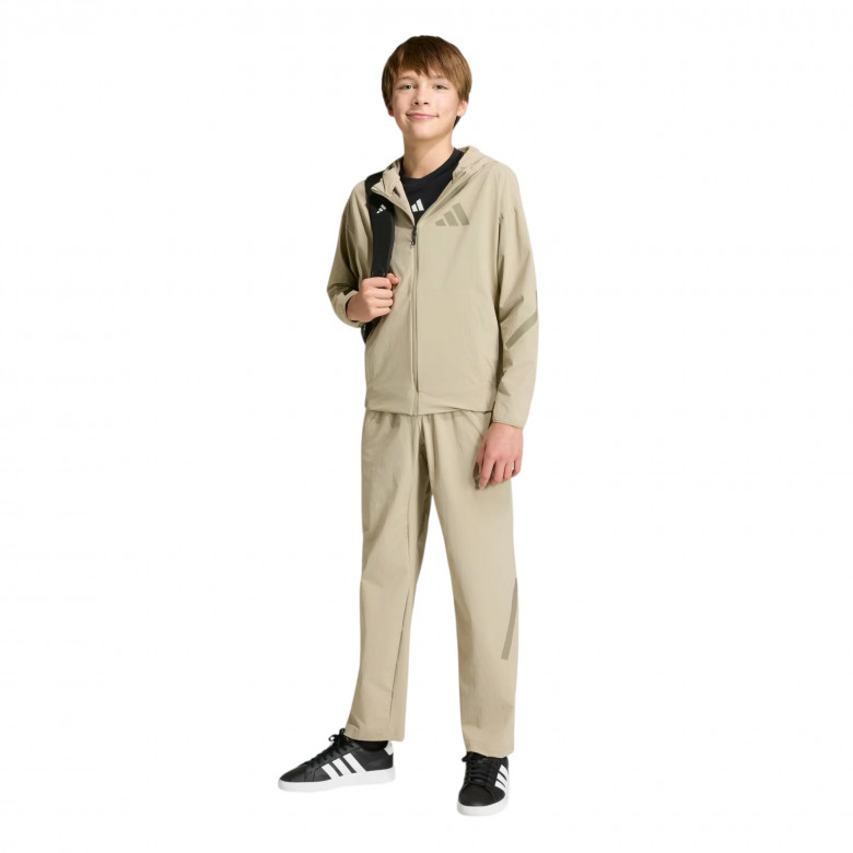Z.N.E. Pants 2