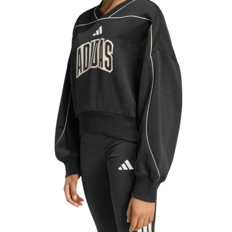 Stadium Sweatshirt 3