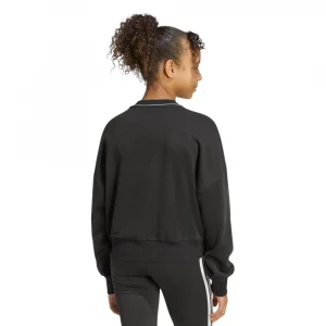 Stadium Sweatshirt 1