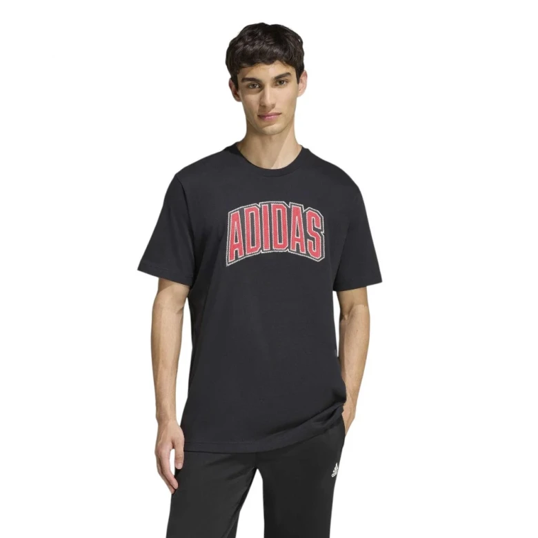 Camiseta Estampada Stadium Collegiate