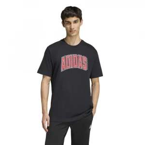 Camiseta Estampada Stadium Collegiate