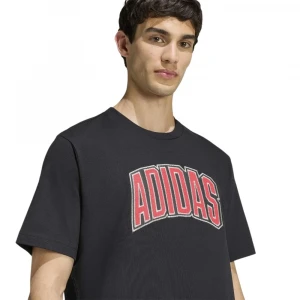 Camiseta Estampada Stadium Collegiate 3