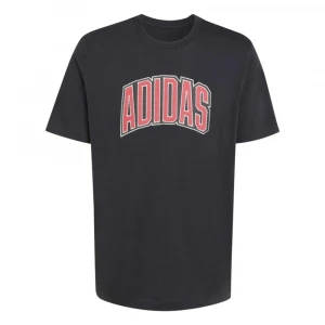 Camiseta Estampada Stadium Collegiate 5