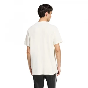 Camiseta Estampada Stadium Collegiate 1