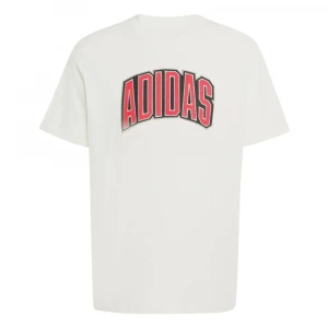 Camiseta Estampada Stadium Collegiate 5