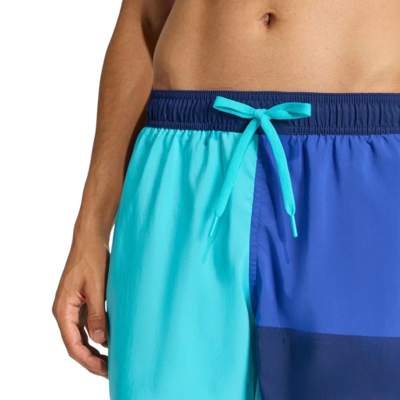 Colorblock Swim Shorts 5inch 3