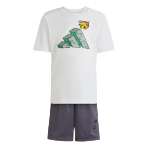 Minecraft Training Summer Set 5