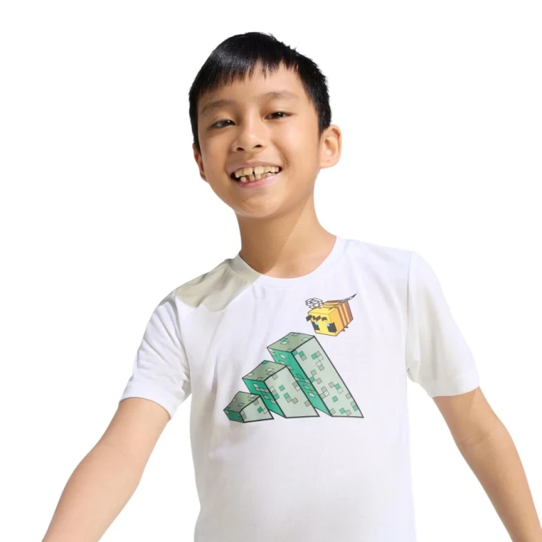 Minecraft Training Summer Set 3