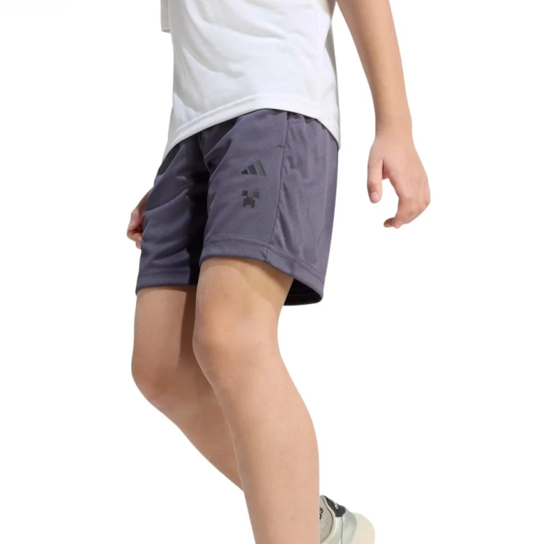 Minecraft Training Summer Set 4