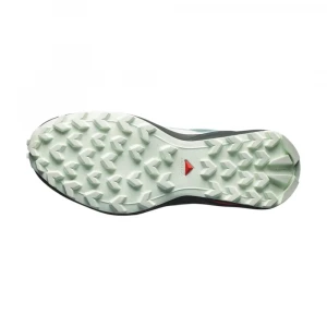 Shoes Speedcross Peak Gtx W 5