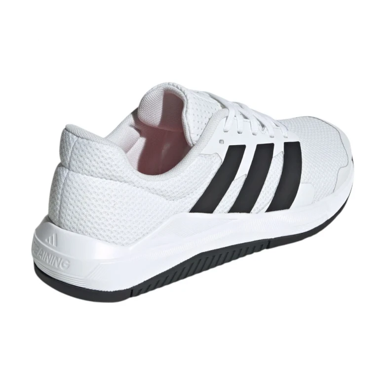 Dropset Base Training 0