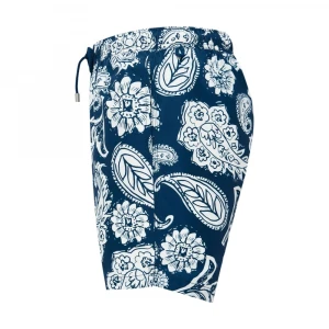 Arthus Lapis Paisley 1