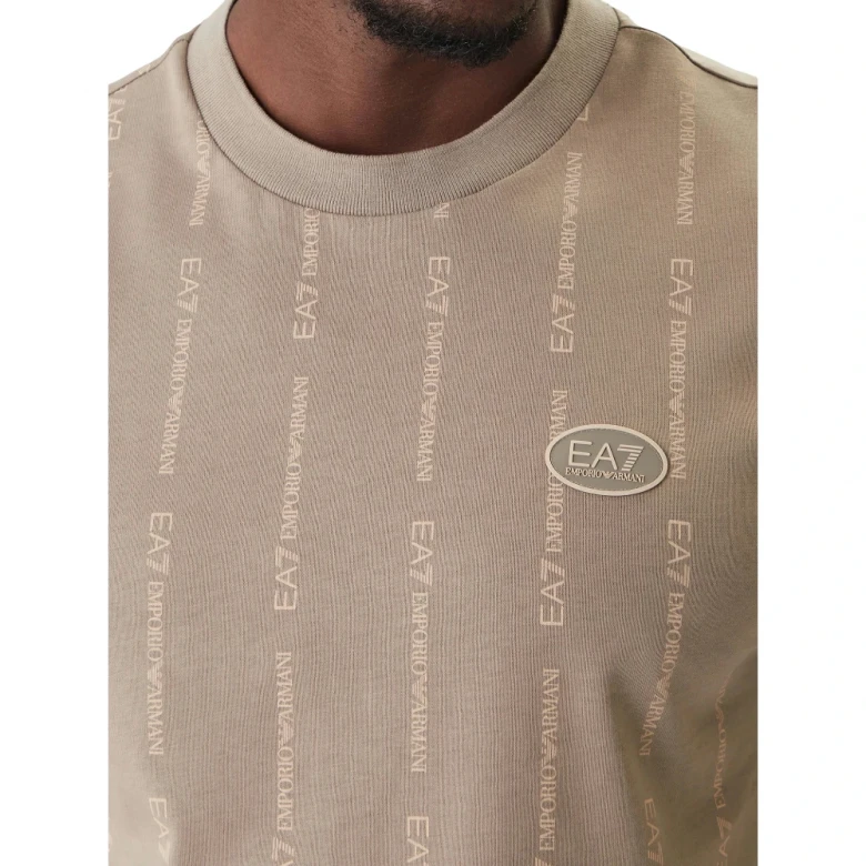 Train Graphic Series 3