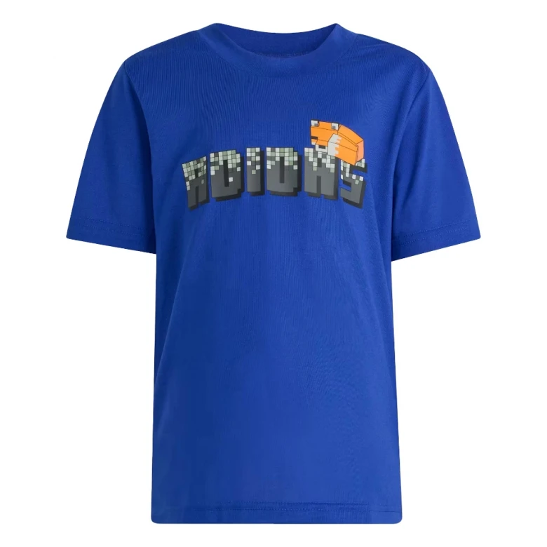 Minecraft Training 5