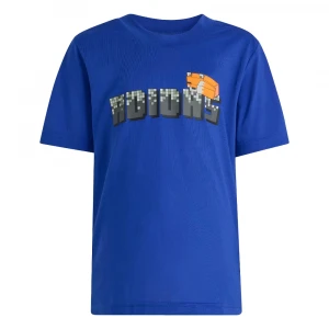 Minecraft Training 5