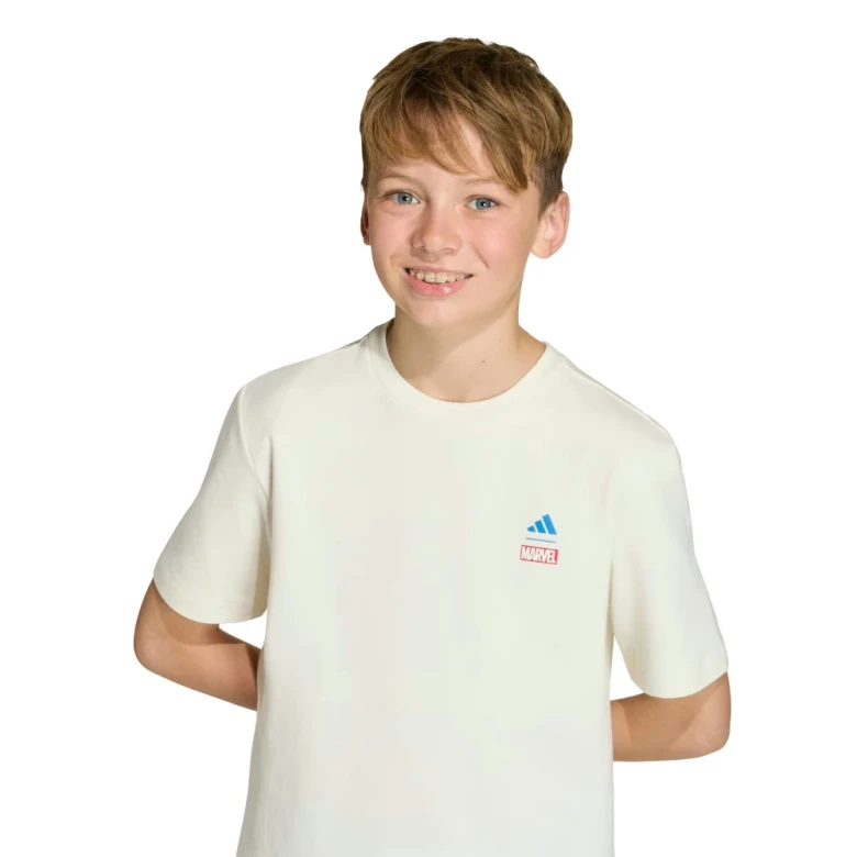 Marvel Avengers Graphics 3