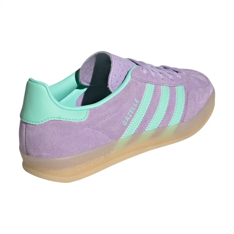 Gazelle Indoor 0