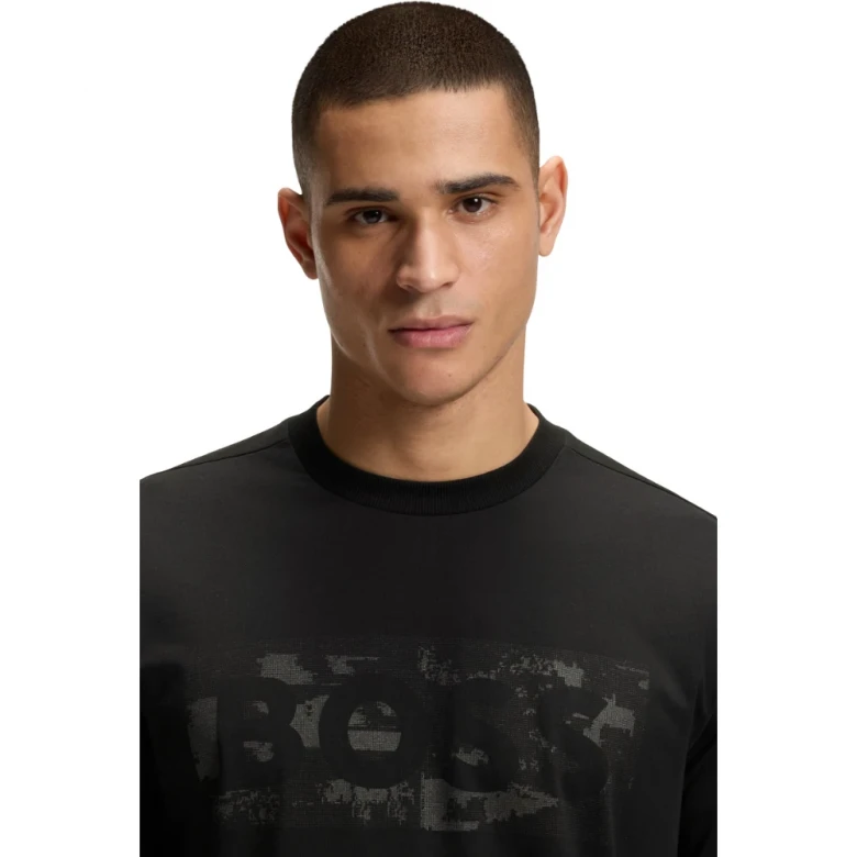 Style TS_Globe LogoPattern 1