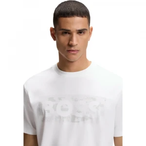 Referencia TS_Globe LogoPattern 1