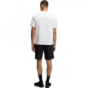 Referencia TS_Globe LogoPattern 3