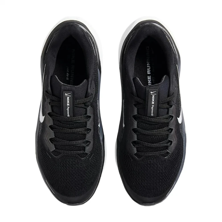 Air Zoom Pegasus 41 (Gs) 0