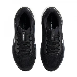 Air Zoom Pegasus 41 (Gs) 0