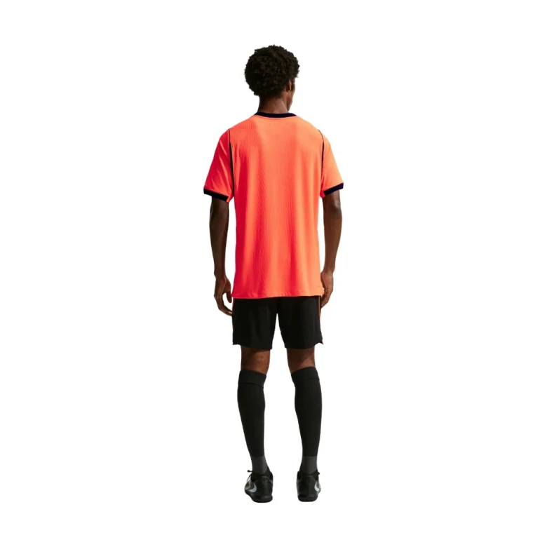 шорты knvb m nk df short stad hm 1