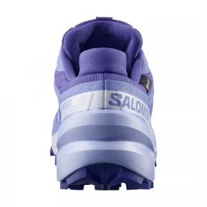 кроссовки shoes speedcross 6 gtx w 5