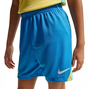 Шорты CBF Y Nike Dri-FIT Short Stadium Home