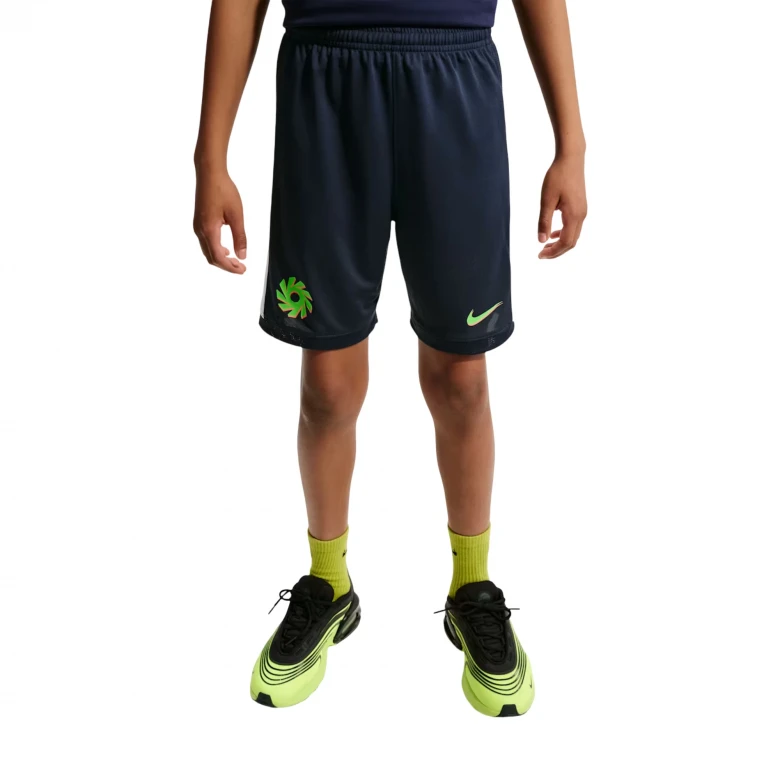 Шорты EH K Nike Dri-FIT Academy25 Short