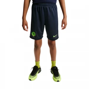 Шорты EH K Nike Dri-FIT Academy25 Short