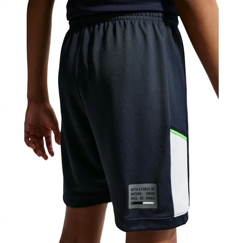 Шорты EH K Nike Dri-FIT Academy25 Short 2
