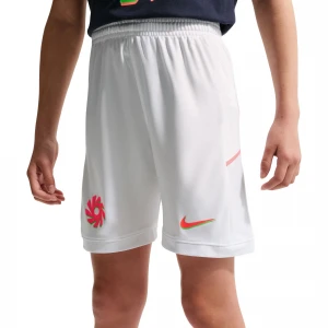 шорты eh k nk df acd25 short 3