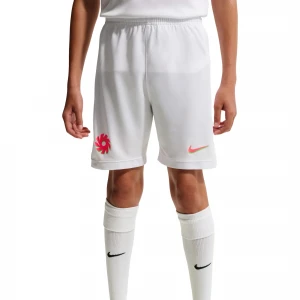 Шорты EH K Nike Dri-FIT Academy25 Short