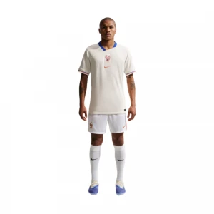 Шорты FFF M Nike Dri-FIT Short Stadium Home 1